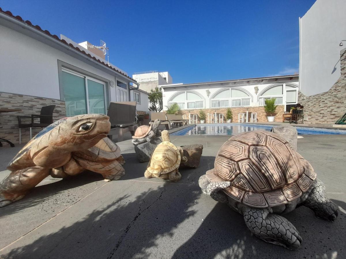 Tenerife Little Village S San Isidro  Luaran gambar